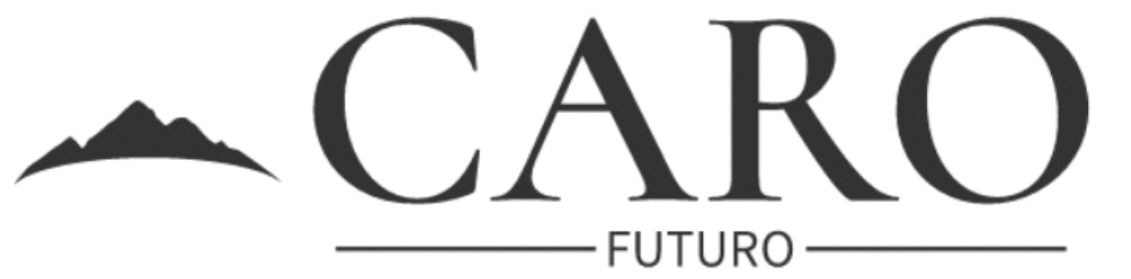 CARO FUTURO株式会社